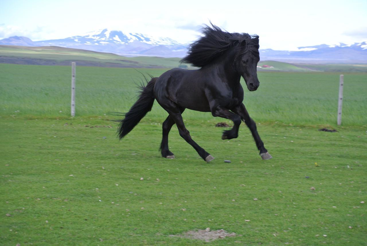 Hekla Adventures Βίλα Hvolsvöllur Εξωτερικό φωτογραφία