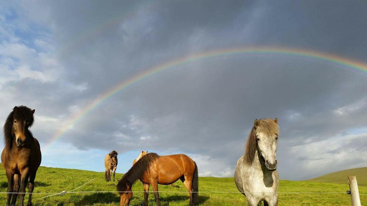 Hekla Adventures Βίλα Hvolsvöllur Εξωτερικό φωτογραφία